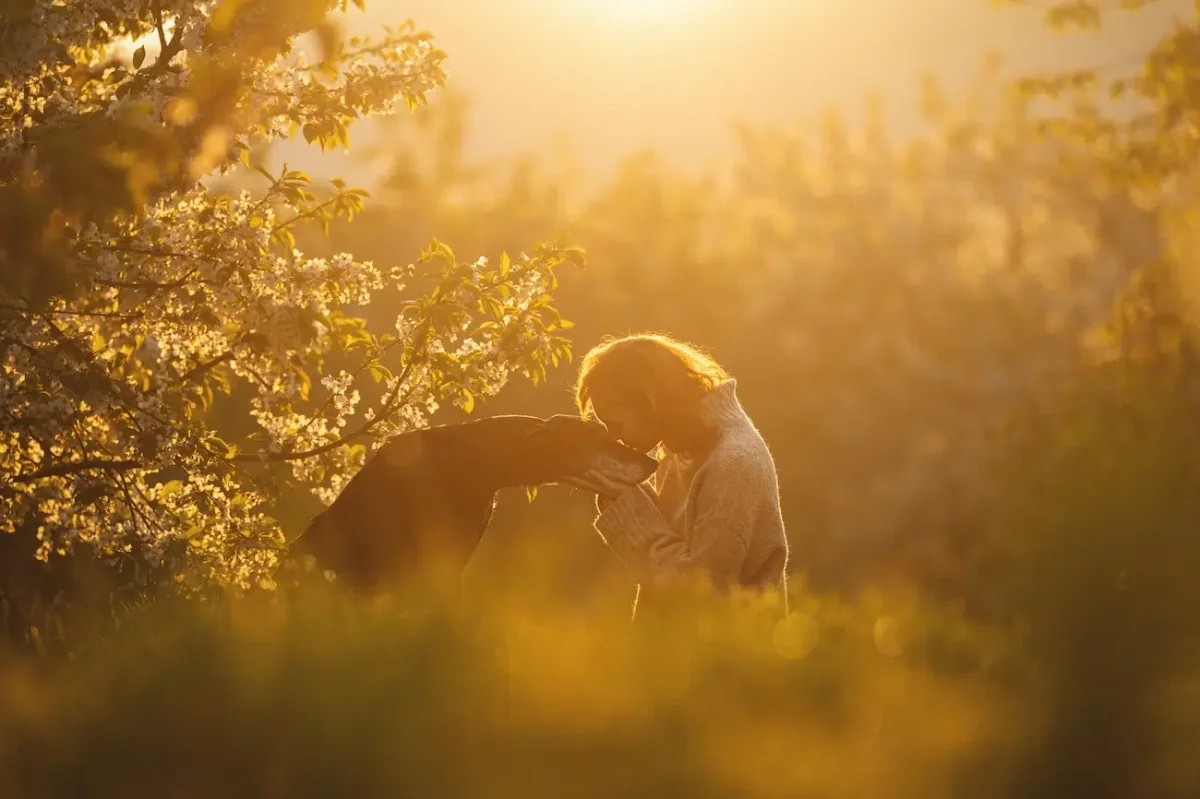 Dog Photography Awards 2026