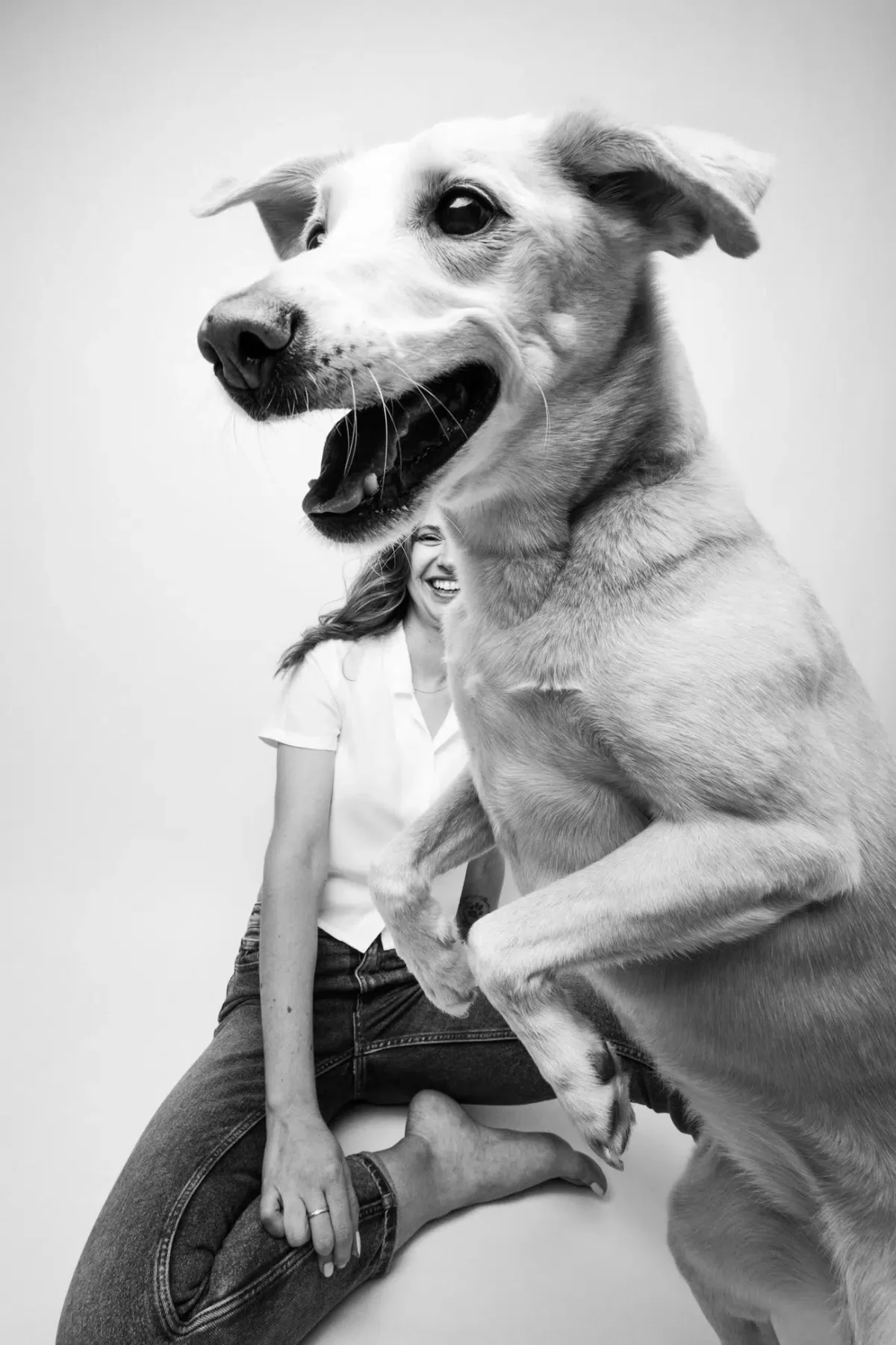 Dog Photography Awards 2026