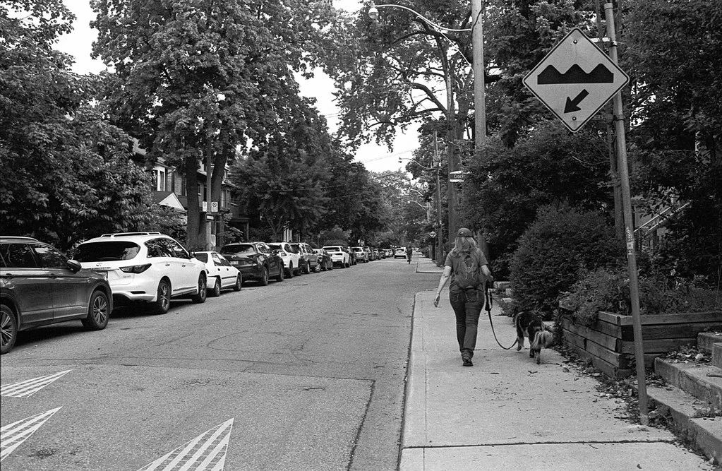 Walking up Bellwoods 2026