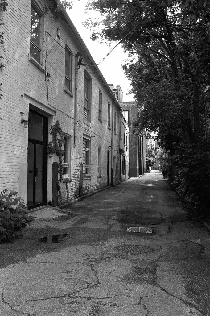 Alley off Bellwoods June 2026