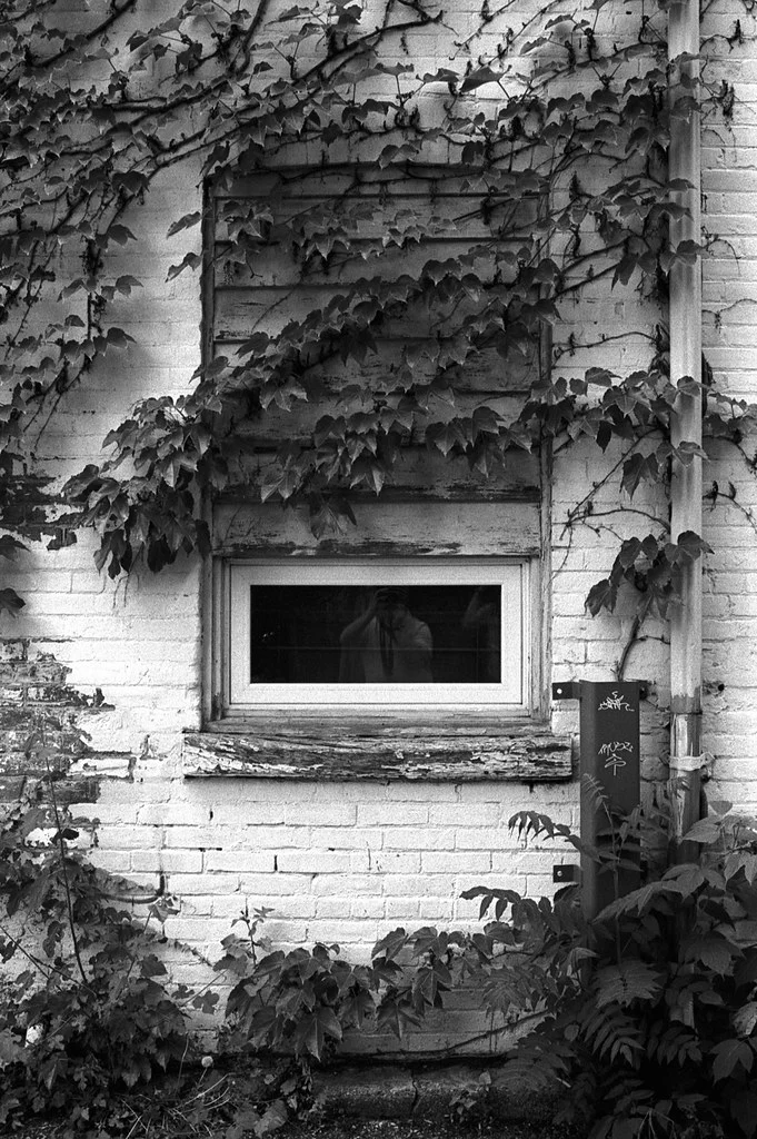 Vine Covered Window June 2026