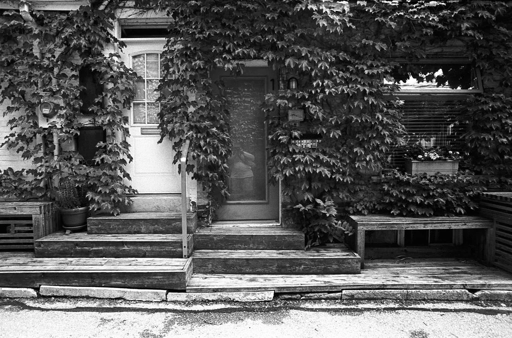 Bellwoods Laneway Housing June 2026