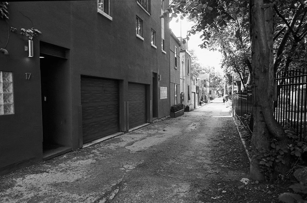 Alley Behind BellwoodsJune 2026