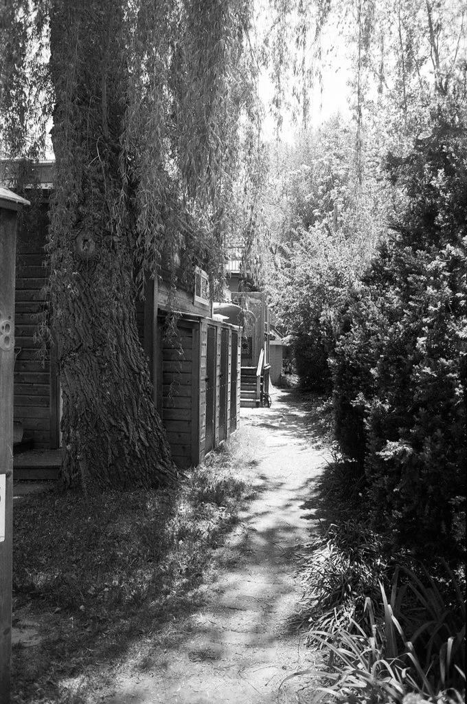 Wards Island Path June 2026