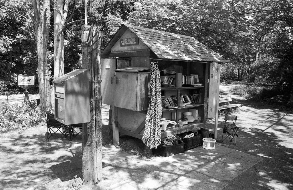 Algonquin Island Community Library June 2026