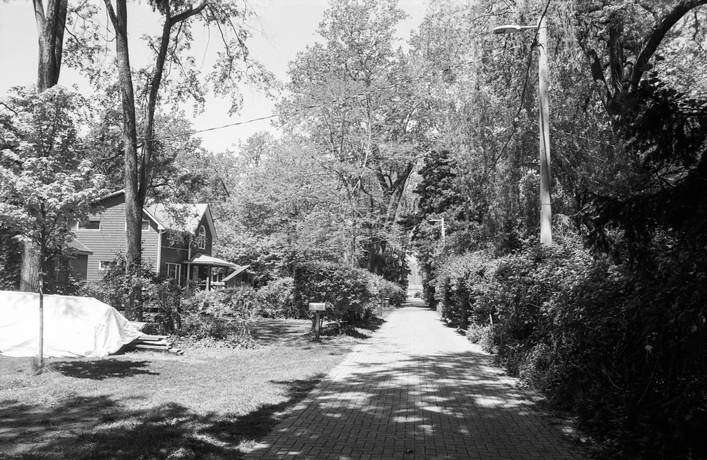 Ojibway Ave June 2026
