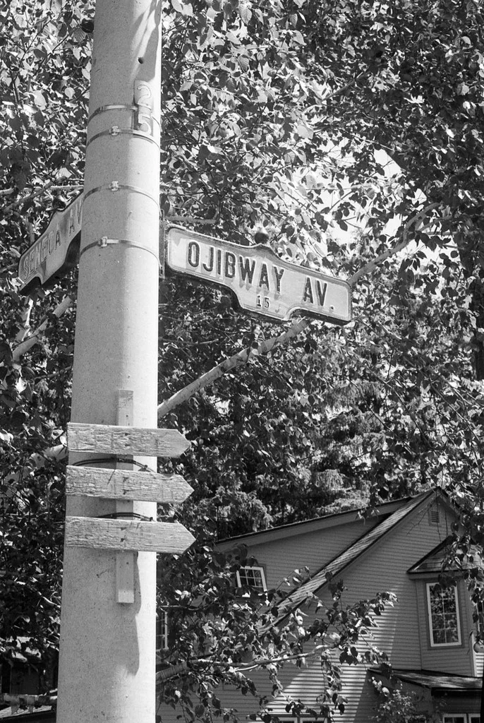 Ojibway Ave Corner June 2026