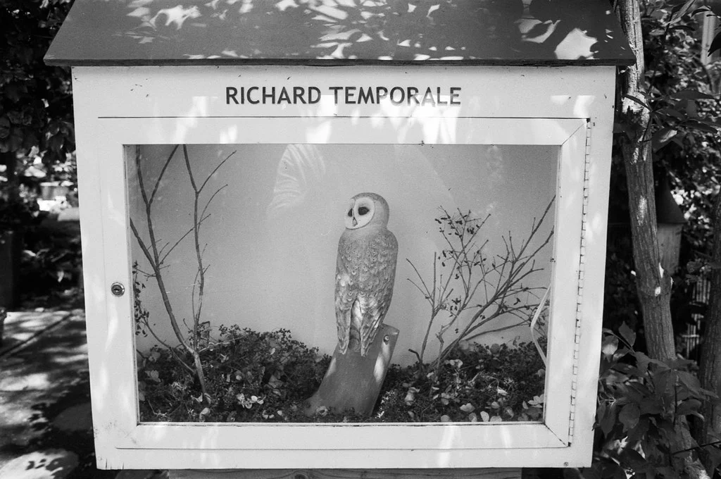 Wildlife Installation on Wards Island June 2026