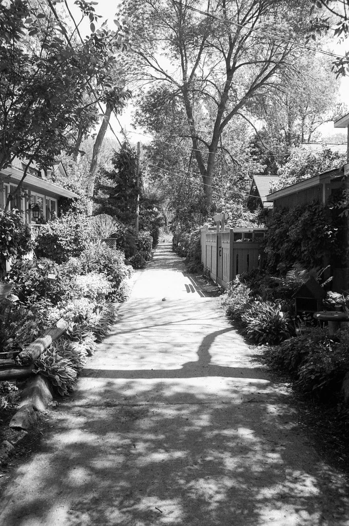 Another Wards Island Street June 2026