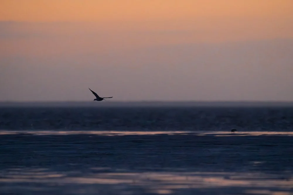Capturing movement