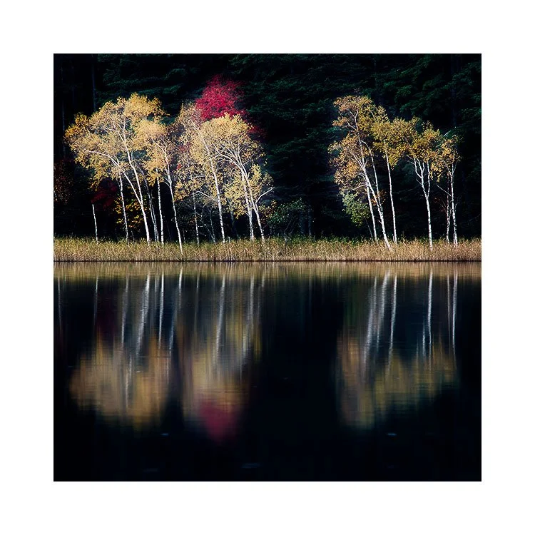 Exploring the Thematic Strength of Hokkaido's Autumn Imagery