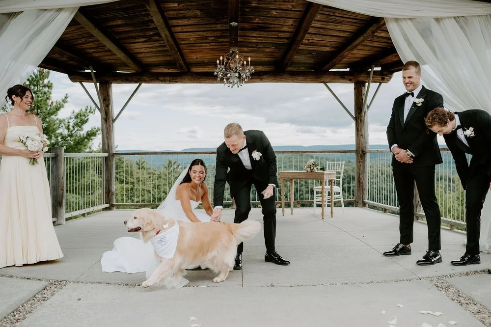 Kylie and Will greeting their golden retriever at the altar under the pavilion at Le Belvedere