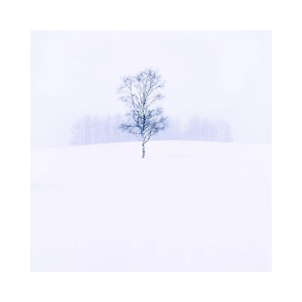 Hokkaido-2026-(16).jpg