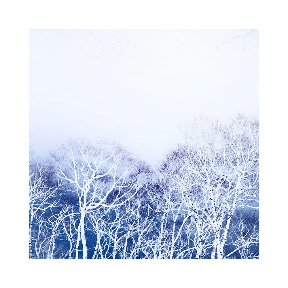 Hokkaido-2026-(3).jpg