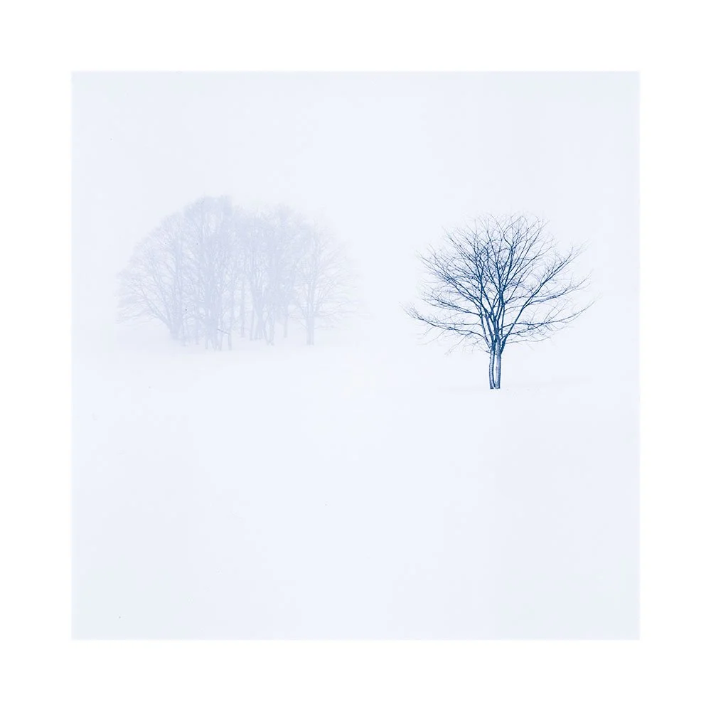 Hokkaido-2026-(7).jpg
