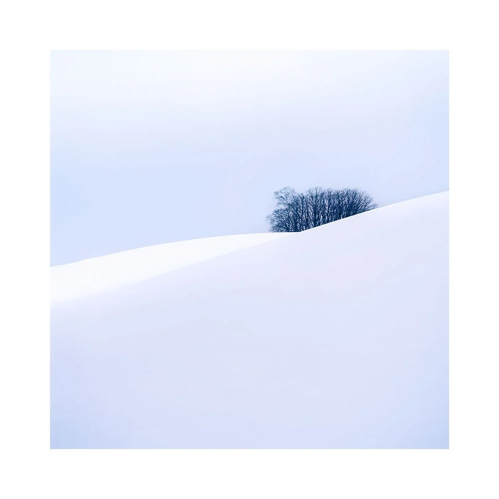 Hokkaido-2026-(12).jpg