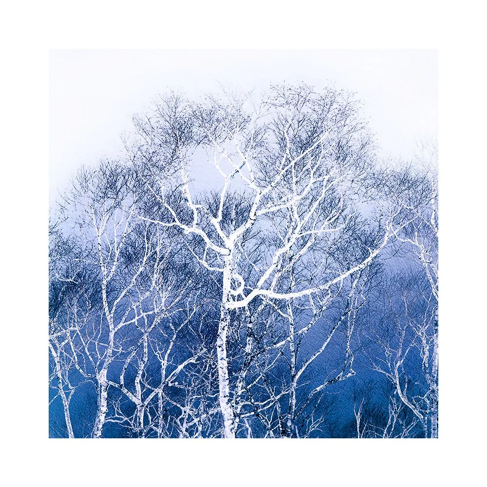 Hokkaido-2026-(4).jpg