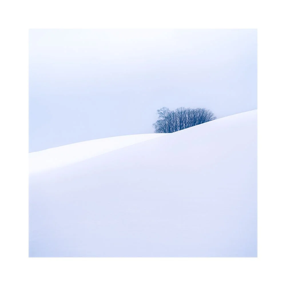 Hokkaido-2026-(12).jpg