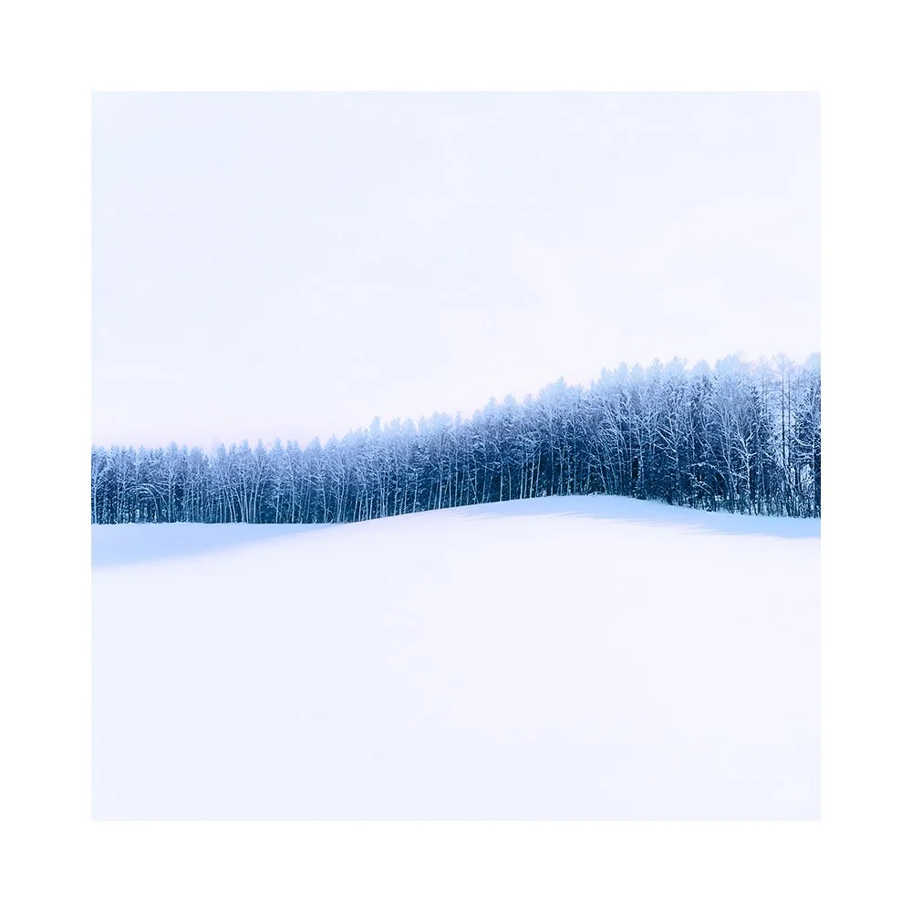 Hokkaido-2026-(13).jpg