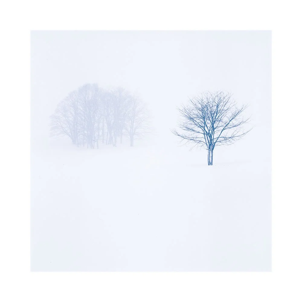 Hokkaido-2026-(7).jpg
