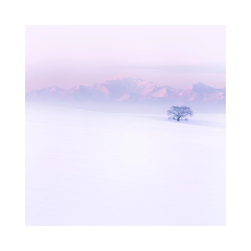 Exploring the Creative Process of Film Editing in Hokkaido