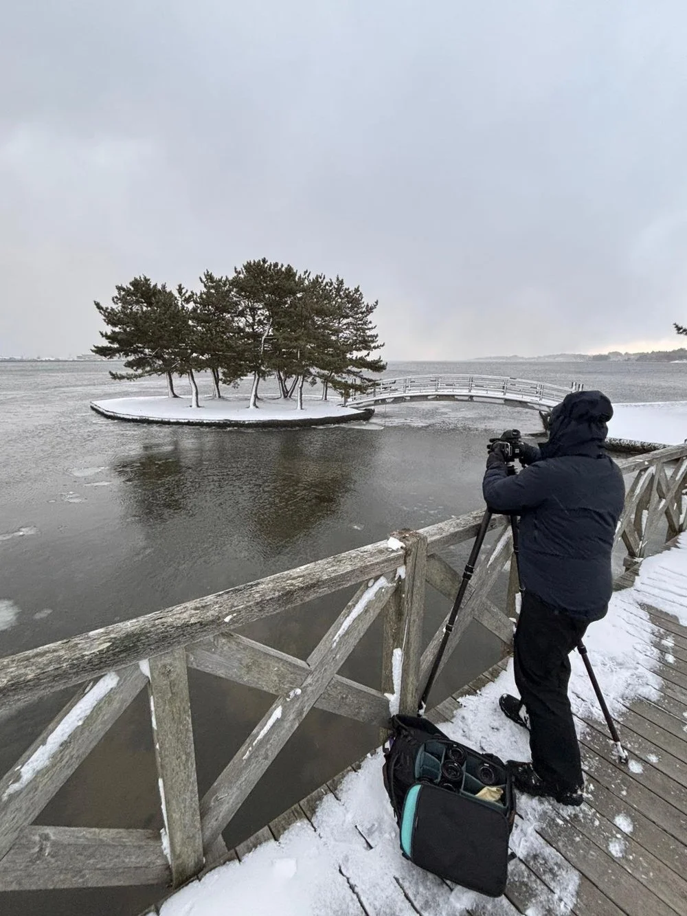 Snow-covered trees in Aomori