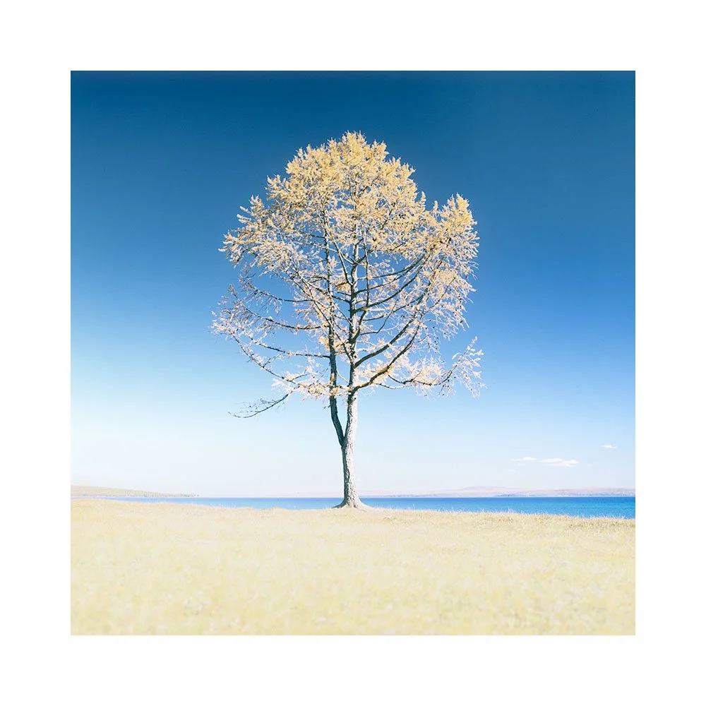 Finding Your Unique Voice in Photography: Embracing Individuality