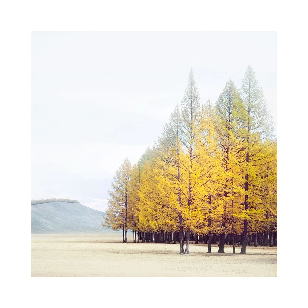 Mongolia-2025-(11).jpg