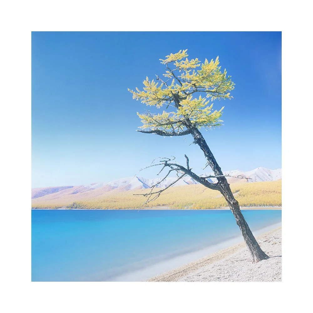 Mongolia-2025-(3).jpg