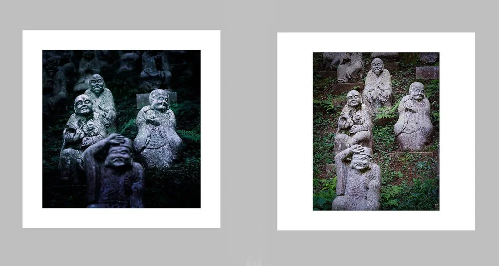Exploring the Distinctions Between Film and Digital Photography