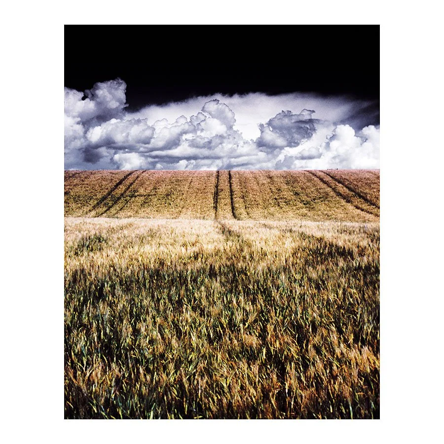 Reflections on Film Photography: A Journey Through Memory