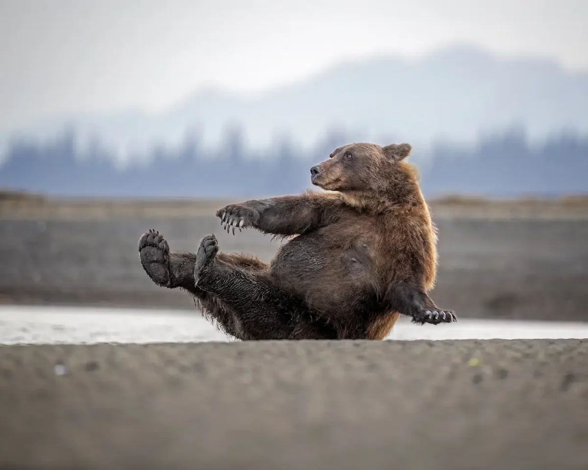 Scott Suraino, 'Morning Calisthenics'