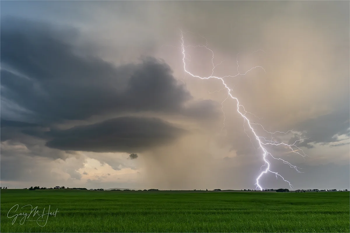 Complex Lightning, Western Alberta, Canada