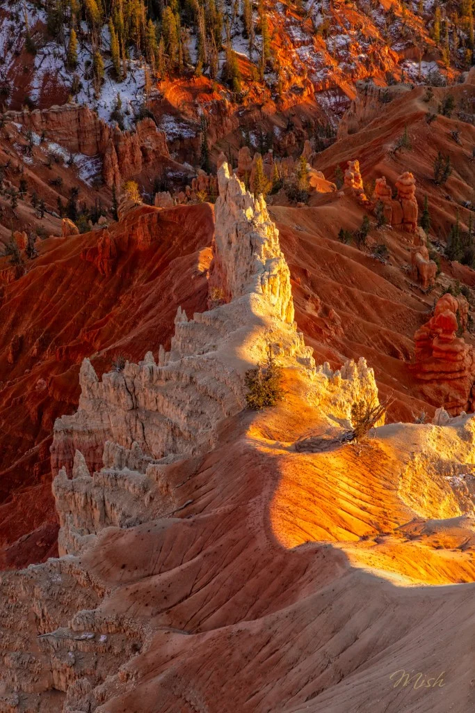 Scenic view of a rugged landscape featuring red and orange rock formations, highlighted by warm evening light, with scattered trees in the background.