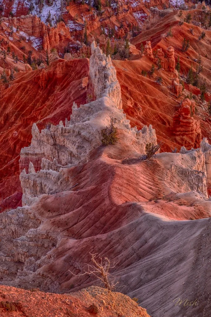 A scenic view of colorful rock formations and ridges in a canyon, featuring contrasting red and white hues, with some sparse trees and a dry branch in the foreground.