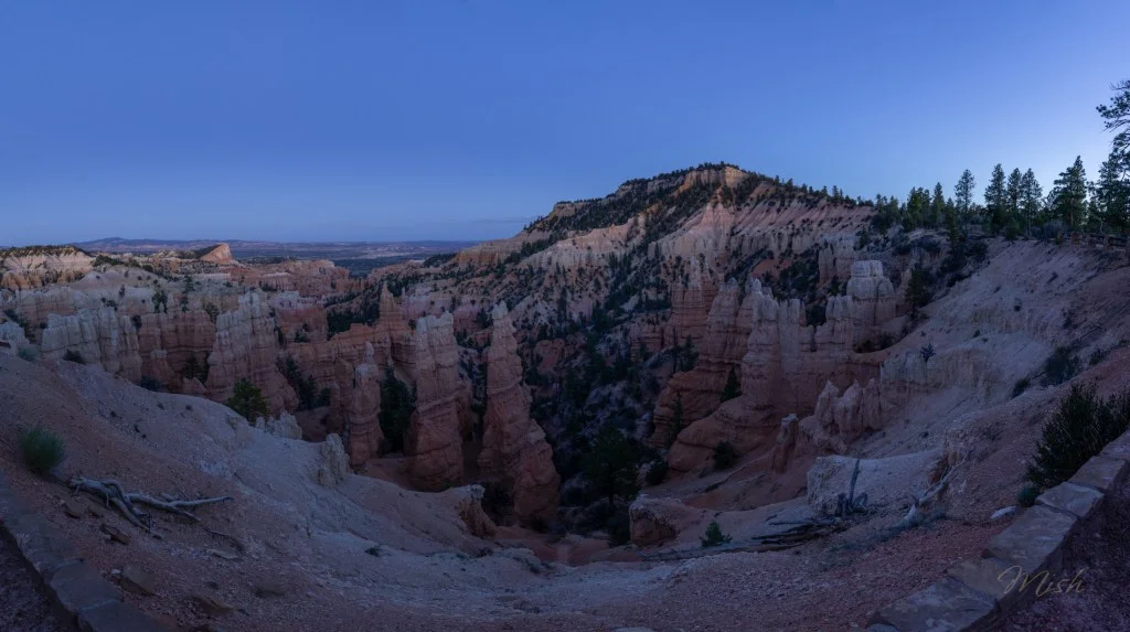 Panoramic view of a canyon at dusk showcasing colorful rock formations and towering spires surrounded by trees.