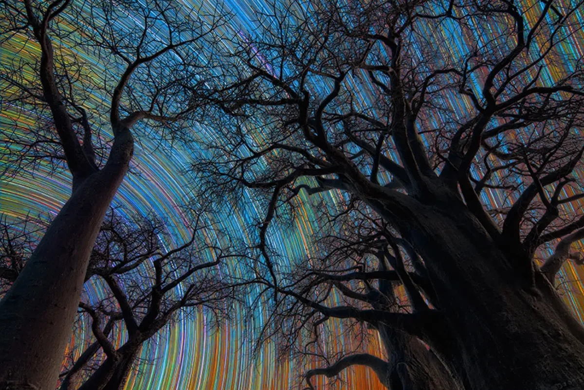 Winner: Botswana Star Trail