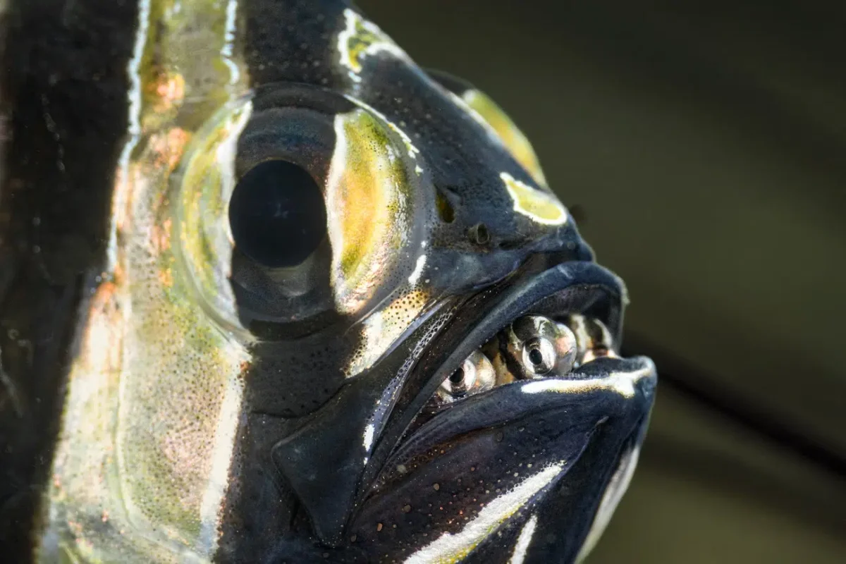 Ocean Photographer of the Year Winners 2026