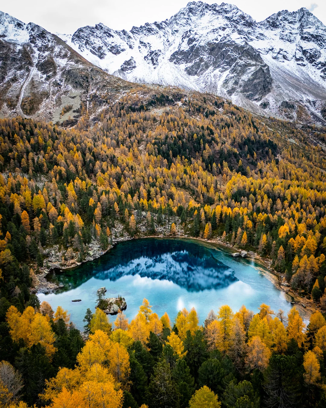 Turquoise alpine lake surrounded by golden larches and dark evergreens under snowy peaks, showing contrast in fall color photography.