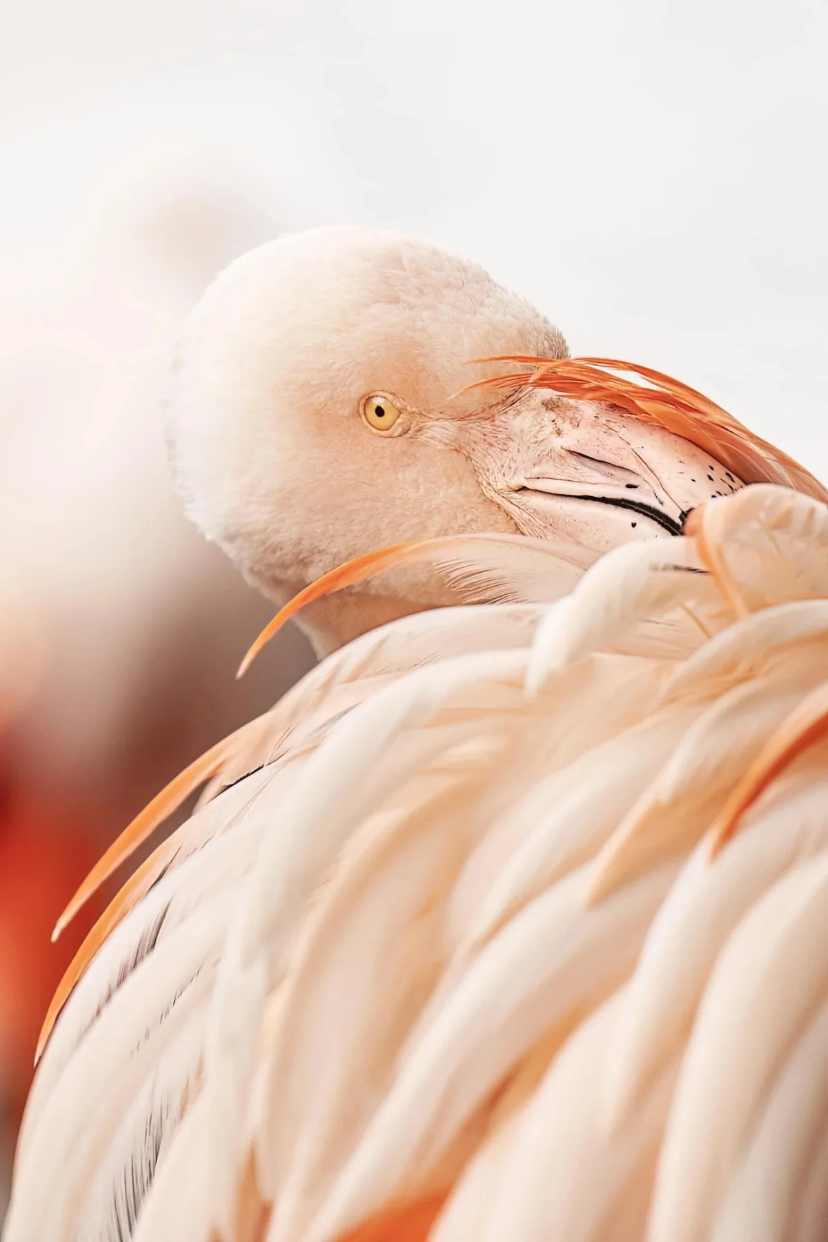European Photography Award Winners