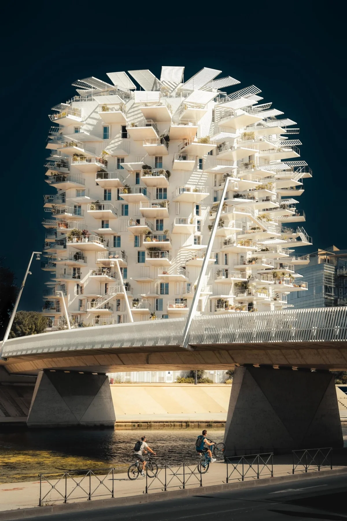 Photo of L’Arbre Blanc in Montpellier, France.
