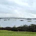 Birdwatching Highlights of the Somerset Levels in February 2026