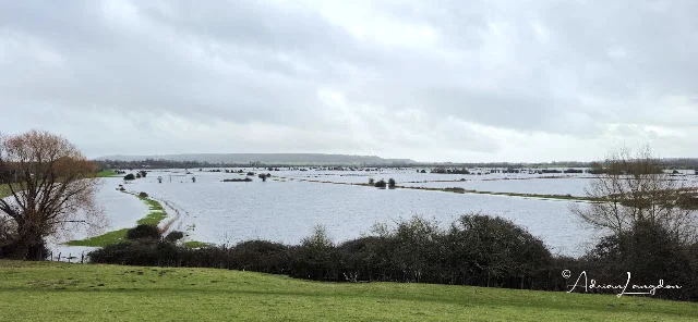 The view from Burrow Mump