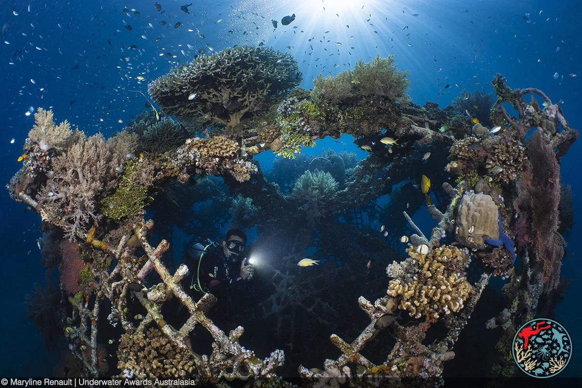 Photo of divers underwater with coral.