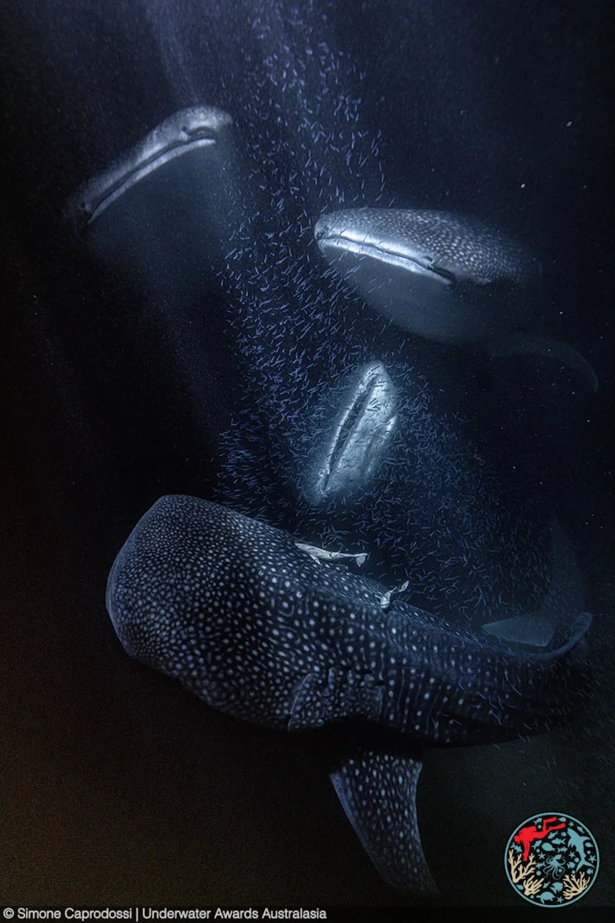 Underwater Awards Australasia