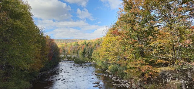 Autumn scenery