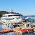 Whale Watching Adventure in Bar Harbor, Maine: Autumn 2024 Tour Highlights