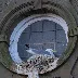 Capturing Urban Kittiwakes: A Photographer's Experience in Bridlington