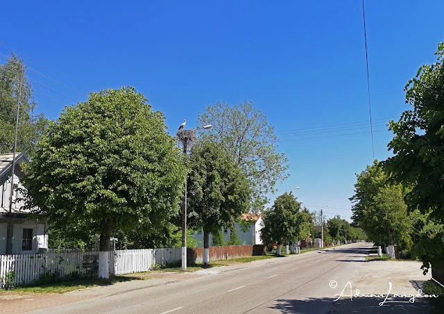 A classic village scene with storks nesting along the road