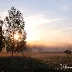 Capturing European Bison and Elk in Poland: A Photographic Adventure